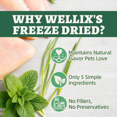 Friandise croquante en forme de cœur Wellix Catnip Treats, idéal pour l’appétit