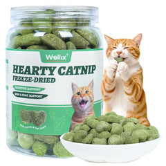 Wellix Catnip Treats dans son paquet, snack savoureux pour récompenser votre chat