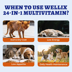 Wellix peau et poils brillants grâce à des nutriments essentiels.