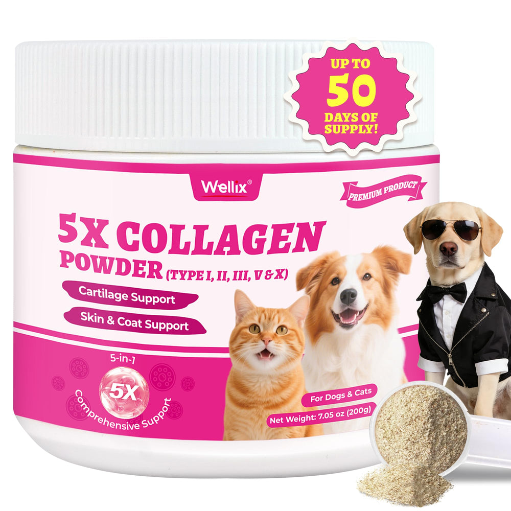 Wellix Poudre collagène animaux, bouteille 7 oz, soutien peau et pelage