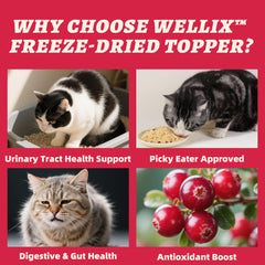 Wellix Topper Chat Poulet Séché: saveur naturelle pour récompenser votre chat