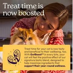 Mélange biotique GutBoost pour la santé digestive des chats.