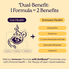 Ingrédients lysine présents dans WellJoy Immune+ pour immunité et respiration.