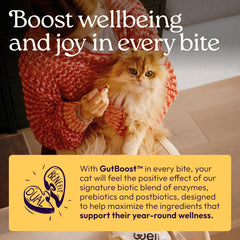 Quercetine dihydratée dans WellJoy Immune+ pour le confort quotidien.