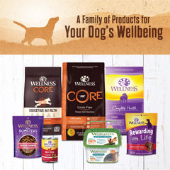 Mélange possible avec ration sèche Wellness 95% Bœuf