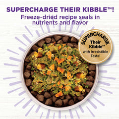 Wellness Bowl Boosters – ingrédients entiers et légumes, repas équilibré pour chiens.
