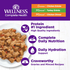 Wellness Chat – poulet en sauce, texture mince et hydratante pour le repas.