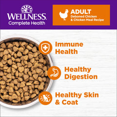 Croquettes sans cereales Wellness Chat au poulet, premier ingrédient visible.