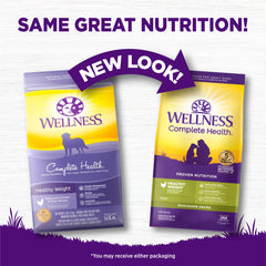 Chien savourant Wellness Complete Health dans un bol, repas adapté au quotidien.