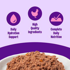 Wellness Complete Health Chat Adulte — texture onctueuse de pâté, appétence naturelle.