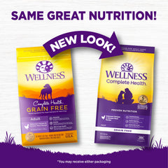 Wellness Complete Health – croquettes sans céréales, texture appétente.