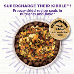 Morceaux de poulet lyophilisé dans Wellness CORE Bowl Boosters, texture agréable.