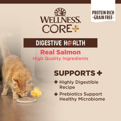 Wellness CORE+ Pâté saumon, texture pâté délicate prête à servir