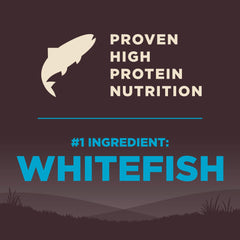 Wellness CORE soutien digestion avec probiotiques et taurine