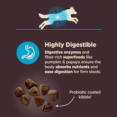Wellness Core Digestive Health: kibble enrobé probiotiques, améliore le microbiome quotidien.