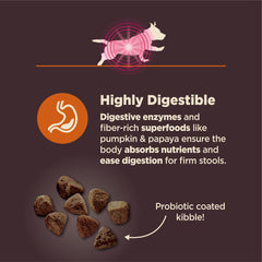 Fibres prébiotiques Wellness CORE Digestive Health pour la digestion.
