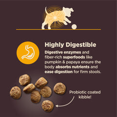 Wellness CORE Digestive Health, enzymes digestives dans la croquette, soutien digestif.
