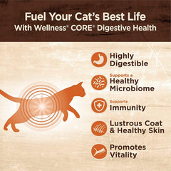 Pâté Wellness Core Digestive chat poulet: texture onctueuse et appétence naturelle.