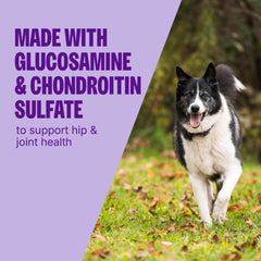 Friandises de formation Wellness CORE croquantes, récompense pratique pour l'entraînement canin.