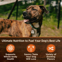 Wellness CORE Hearty Cuts — plat pour chien, portions moelleuses et savoureuses.