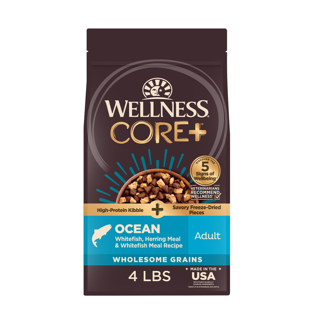 Wellness CORE+ croquettes pour chien adulte dans bol, texture croquante et riche en protéines.