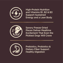 Bol chien petite race avec Wellness CORE+ pour repas savoureux.