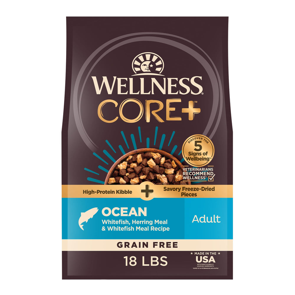 Wellness CORE+ croquettes sans céréales pour chien, repas équilibré et riche en protéines.
