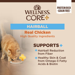 Wellness CORE+ Hairball Pâté Chat Servie dans bol, texture riche et alimentation équilibrée.