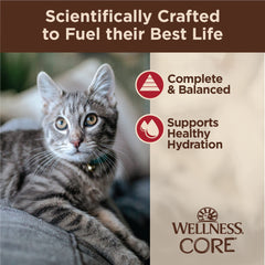 Wellness CORE Tiny Tasters Minced – texture de boeuf haché pour une alimentation naturelle.