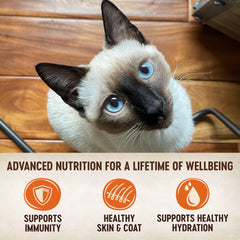 Hydratation facilitée grâce à la nourriture humide Wellness Core Tiny Tasters