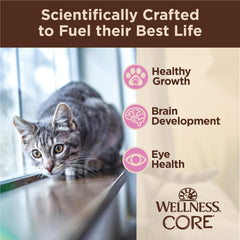 Wellness CORE Tiny Tasters sachet chaton portions pratiques : ouverture facile et portions individuelles pratiques