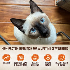 Wellness CORE Tiny Tasters Pâté poulet-dinde : sachets individuels pratiques pour repas rapide.