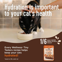 Wellness CORE Tiny Tasters, thon saumon en flocons, saveur équilibrée