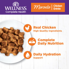 Wellness Morsels Chat: morceaux protéinés de poulet dans sauce légère pour assouplir le palais.
