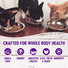 Wellness Nourriture Chat: ingrédients naturels et texture attrayante pour les repas quotidiens.