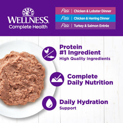 Wellness Pâté chat adulte poulet hareng, apport protéique soutenant l’énergie.
