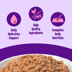 Wellness Pâté chat poulet-homard ingredients: texture riche et ingrédients naturels.