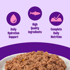 Texture veloutée Wellness pour chaton, idéale pour les repas quotidiens.