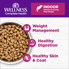 Wellness protéines saumon et hareng pour chat intérieur.