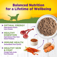 Texture pate lisse Wellness pour chien, repas facile et appétissant.