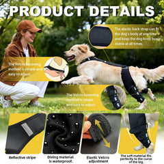WENQUSEN Support dorsal respirant — confort durable pendant les activités