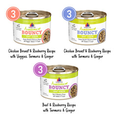 Weruva Awesome Bouncy Magnificent Mobility, texture humide, expérience alimentaire agréable pour chien.