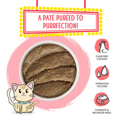 Weruva sans céréales pate poulet-saumon, option légère et digeste.
