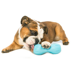 West Paw Qwizl: évents aromatiques qui incitent le chien à explorer.