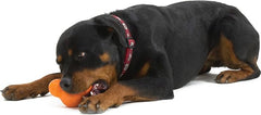 WEST PAW Tux, jouet interactif, rebondissant et flottant, idéal pour chiens qui aiment mordiller.