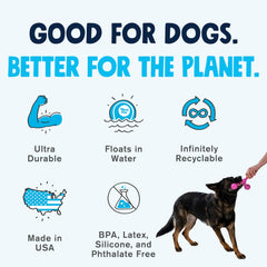 Couleur aqua du Zogoflex Air Skamp pour chien actif et repérable