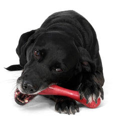 Jouet West Paw Zogoflex Hurley rouge, nettoyage pratique au lave-vaisselle, durable et sûr.