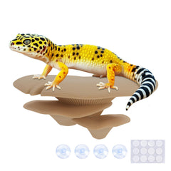 Westant décor champignons terrarium; cachettes naturelles pour reptiles et amphibiens.