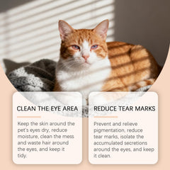 WestShiny appliqué sur le bâton pour nettoyer les yeux des chiens et chats