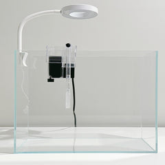 Whalix lampe LED 360, lumière naturelle pour mettre en valeur poissons et plantes.